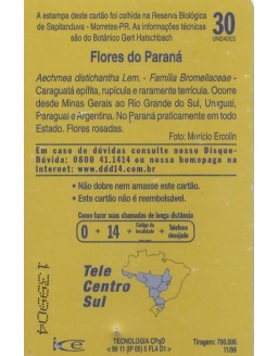 FLORES DO PARANA - FAMILIA BROMELLACEAE - CARAGUATA EPÍFETA