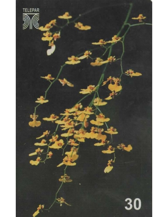 FLORES DO PARANA - BOTAO DE OURO - ORQUIDEA 