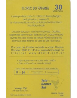 FLORES DO PARANA - BOTAO DE OURO - ORQUIDEA 