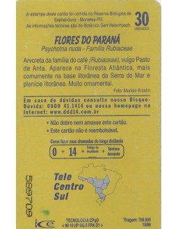 FLORES DO PARANA - FAMILIA RUBIACEAE - PSYCHOTRIA NUDA