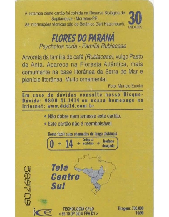 FLORES DO PARANA - FAMILIA RUBIACEAE - PSYCHOTRIA NUDA