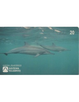 ANO INTERNACIONAL DOS OCEANOS - 1998 - GOLFINHOS ROTADORES