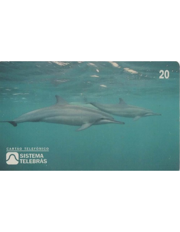 ANO INTERNACIONAL DOS OCEANOS - 1998 - GOLFINHOS ROTADORES