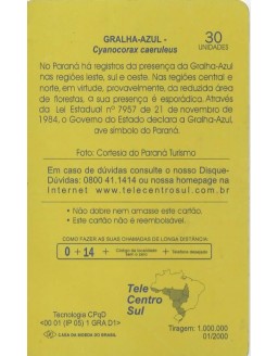 GRALHA AZUL - CYANOCORAX CAERULEUS