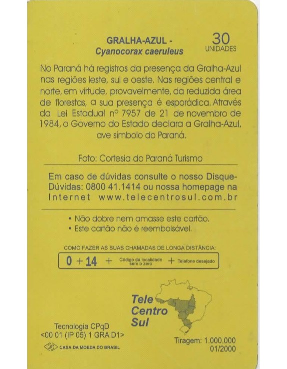 GRALHA AZUL - CYANOCORAX CAERULEUS