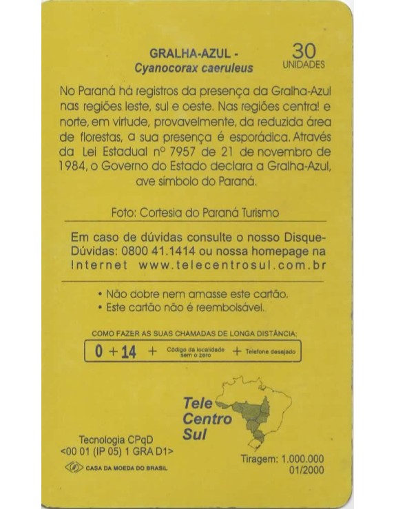 GRALHA AZUL - CYANOCORAX CAERULEUS