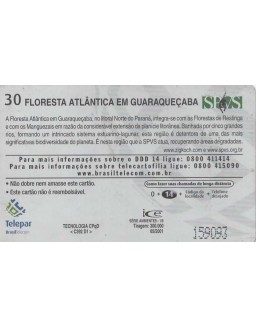 SERIE AMBIENTES 01/09 - FLORESTA ATLANTICA EM GUARAQUEÇABA