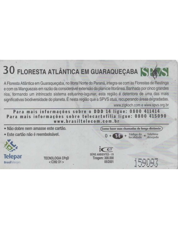 SERIE AMBIENTES 01/09 - FLORESTA ATLANTICA EM GUARAQUEÇABA