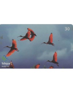 SERIE PARQUE DAS AVES 09/13 - GUARA VERMELHO 