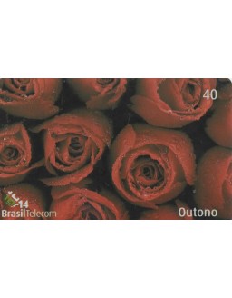 INICIO DE OUTONO 01/04 