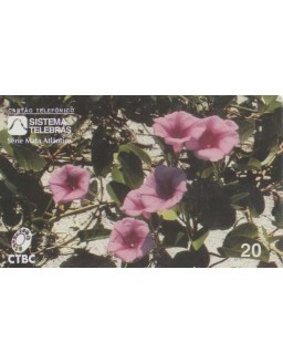 CTBC - SERIE MATA ATLANTICA - IPOMÉIA (PLANTA FIXADORA DE DUNAS)