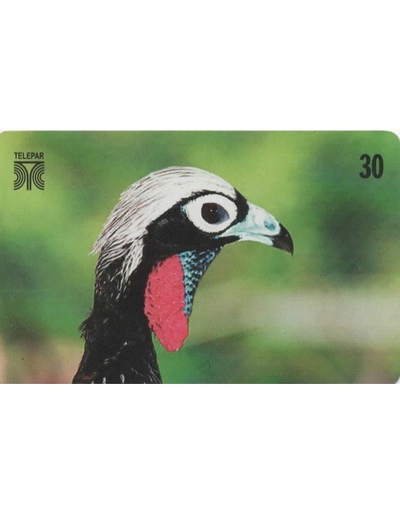 SERIE AVES AMEAÇADAS SE EXTINÇÃO NO PARANA 10/14 - PIPILE JACUTINGA -JACUTINGA