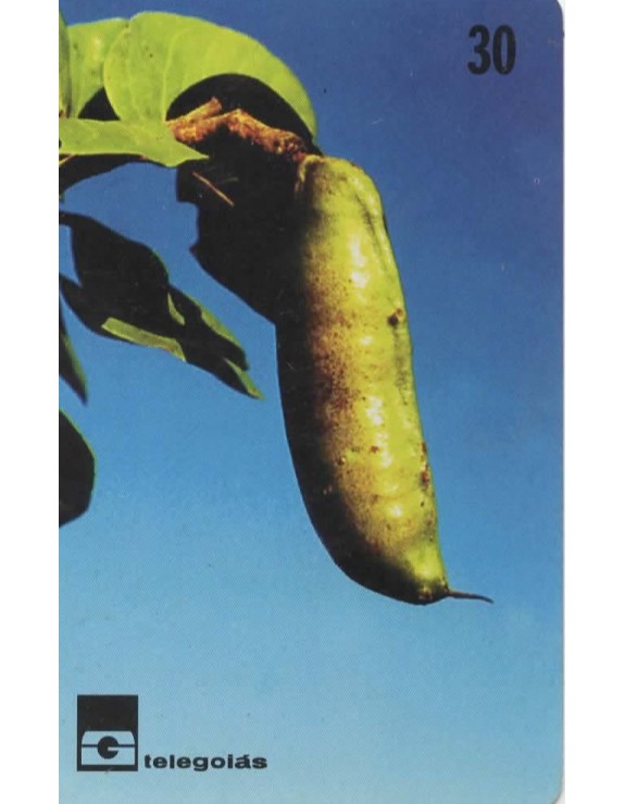 JATOBA - HYMENAEA CAERBARIL - TELEGOIAIS