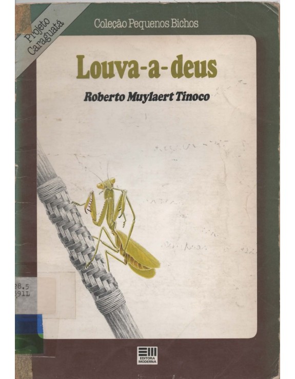 PROJETO CARAGUATA - COLEÇAO PEQUENOS BICHOS - LOUVA-A-DEUS