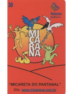MICARETA DO PANTANAL - TELEMS