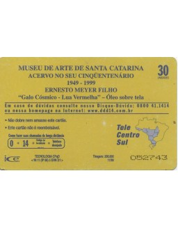 MUSEU DE ARTE DE SANTA CATARINA - ERNESTO MEYER FILHO - TELESC