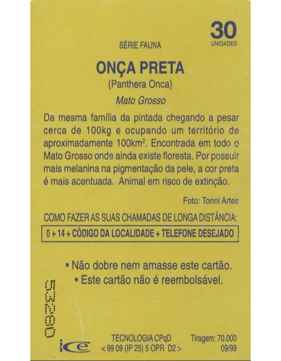 TELEMAT - ONÇA PRETA(PANTHERA ONCA) MATO GROSSO