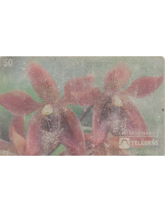 SERIE ORQUIDEAS - HOULETIA  JURUENSIS