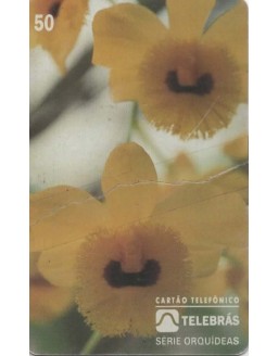 SERIE ORQUIDEAS - DENDROBIUM DESSIFLORUM