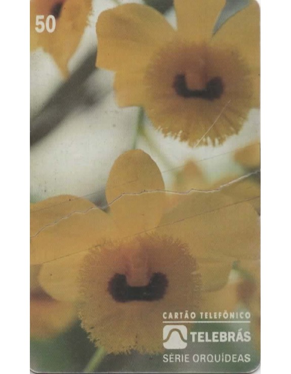 SERIE ORQUIDEAS - DENDROBIUM DESSIFLORUM