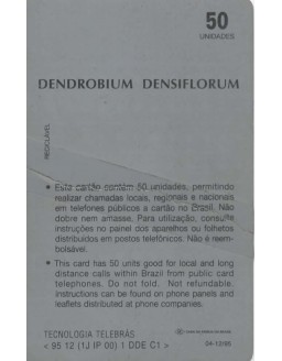 SERIE ORQUIDEAS - DENDROBIUM DESSIFLORUM