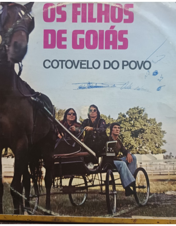 OS FILHOS DE GOIAIS