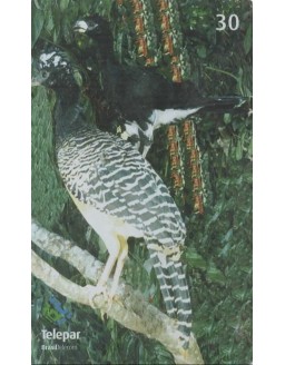 SERIE PARQUE DAS AVES 06/13 - MUTUM DE PENACHO - CRAX FASCIOLATA