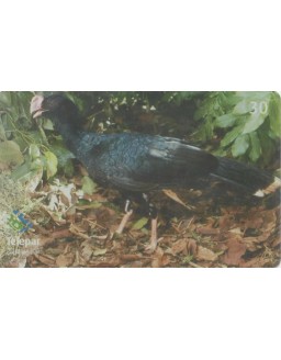 SERIE PARQUE DAS AVES 11/13 - MUTUM CAVALO - MITU TUBEROSA