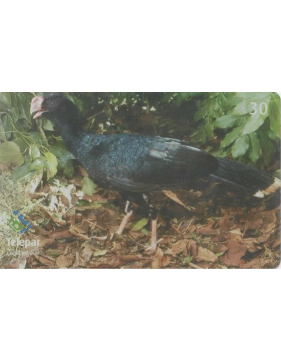 SERIE PARQUE DAS AVES 11/13 - MUTUM CAVALO - MITU TUBEROSA
