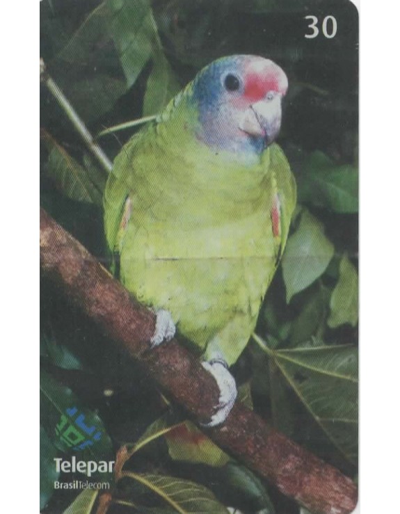 SERIE PARQUE DAS AVES 13/13 - PAPAGAIO DE CARA ROXA