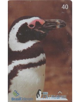 SERIE PATAGONIA - PINGUIM