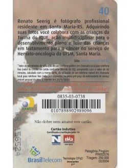 SERIE PATAGONIA - PINGUIM