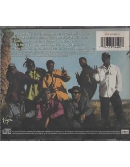 PATO BANTON AND THE REGGAE REVOLUTION