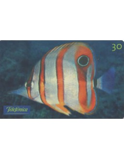 SERIE PEIXES ORNAMENTAIS - CHAETODON BICUDO