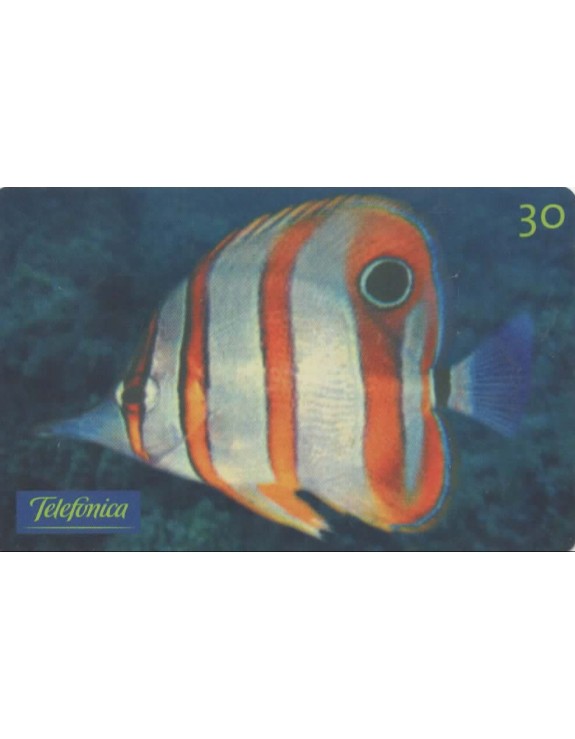 SERIE PEIXES ORNAMENTAIS - CHAETODON BICUDO