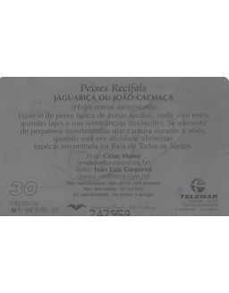PEIXES RECIFAIS JAGUARICÁ OU JOAO CACHAÇA - TELEMAR