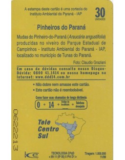 PINHEIROS DO PARANA