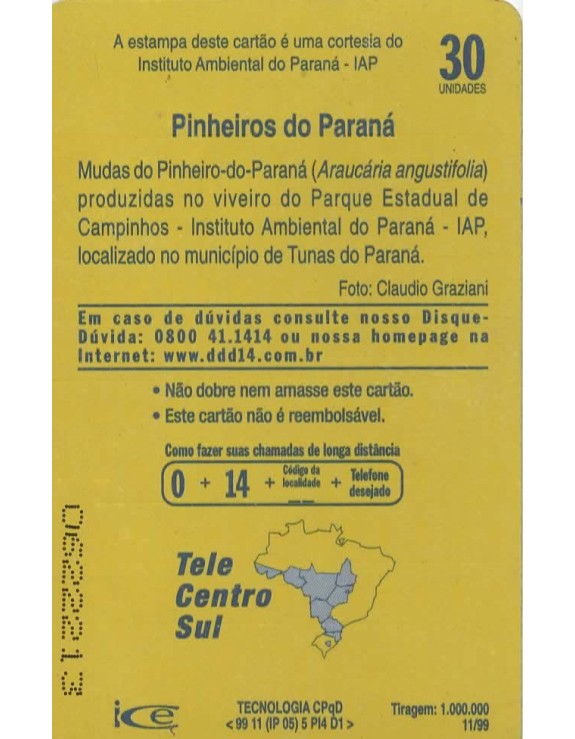 PINHEIROS DO PARANA