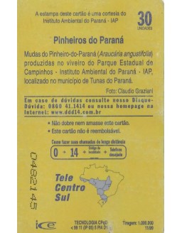 PINHEIROS DO PARANA