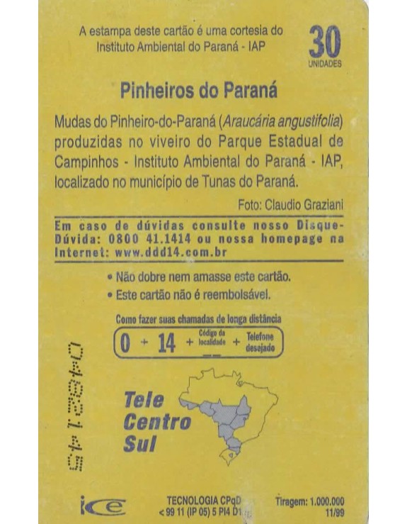 PINHEIROS DO PARANA