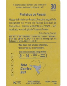 PINHEIROS DO PARANA