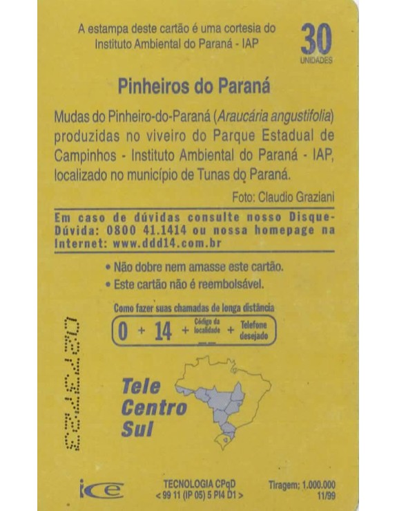 PINHEIROS DO PARANA