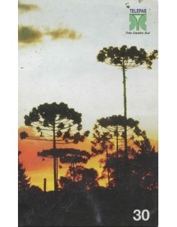 PINHEIROS DO PARANA