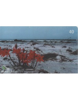PRAIA DESERTA