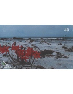 PRAIA DESERTA