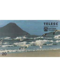 PRAIA DO CAMPECHE - FLORIANOPOLIS -SC - TELES