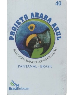 PROJETO ARARA AZUL 01/08 - PANTANAL BRASIL