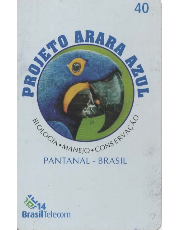 PROJETO ARARA AZUL 01/08 - PANTANAL BRASIL