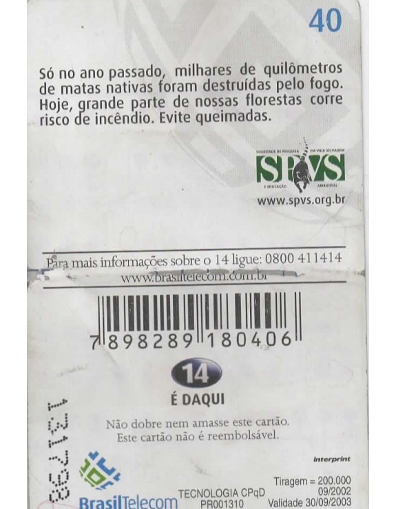 QUEIMADAS 