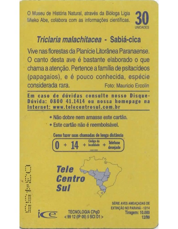 SERIE AVES AMEAÇADAS SE EXTINÇÃO NO PARANA 12/14 - SABIA CICA - TRICLARIA MALACHITACEA 
